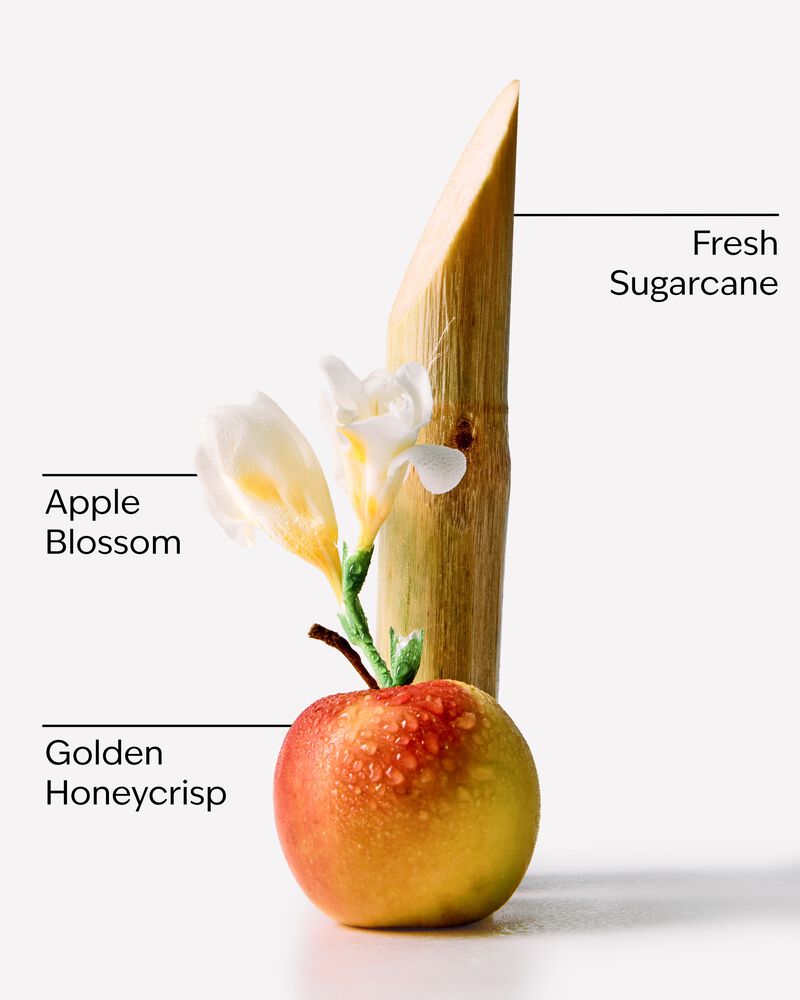 Honeycrisp Apple Hanging Fragrance Diffuser Hanging Fragrance Diffuser