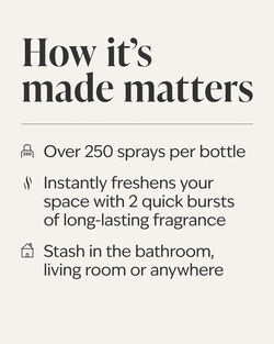 Apple Cinnamon Spice Concentrated Room Spray image number null