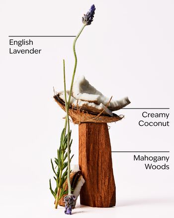 Mahogany Coconut Single Wick Candle Single Wick Candle