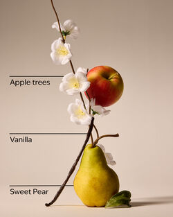 Spring Apple Hand Sanitizer Spray image number null