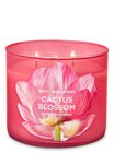 Cactus Blossom 3-Wick Candle image number null