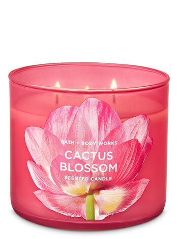 Cactus Blossom 3-Wick Candle 3-Wick Candle