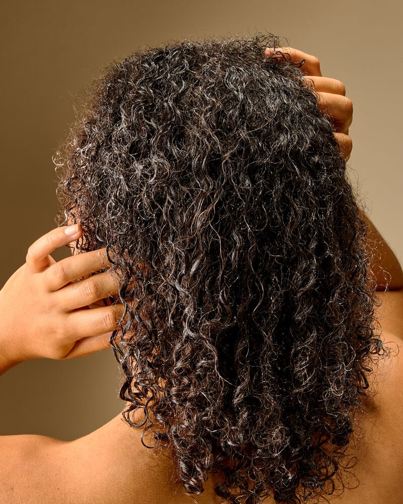 Champagne Toast Conditioner Conditioner