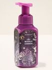Moonlit Goddess Gentle & Clean Foaming Hand Soap image number null