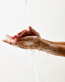 Pumpkin Carving Gentle & Clean Foaming Hand Soap image number null