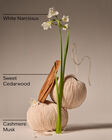 Flowerchild Wallflowers Fragrance Refill image number null