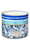 EUC MINT/RAIN 3-Wick Candle image number null