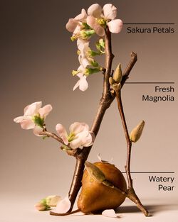 Forever Cherry Blossom 3-Wick Candle image number null