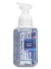 Arctic Berry Foaming Hand Soap image number null