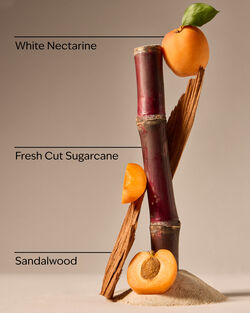 Fiji White Sands Hand Sanitizer with Pump image number null