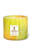 Tropical Island Colada 3-Wick Candle image number null
