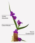 Very Violet Ultimate Hydration Body Cream image number null