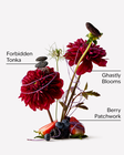 Sally Fine Fragrance Mist image number null