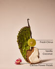 Cactus Blossom PocketBac Hand Sanitizer image number null