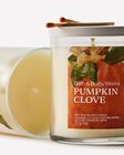 Pumpkin Clove Single Wick Candle image number null