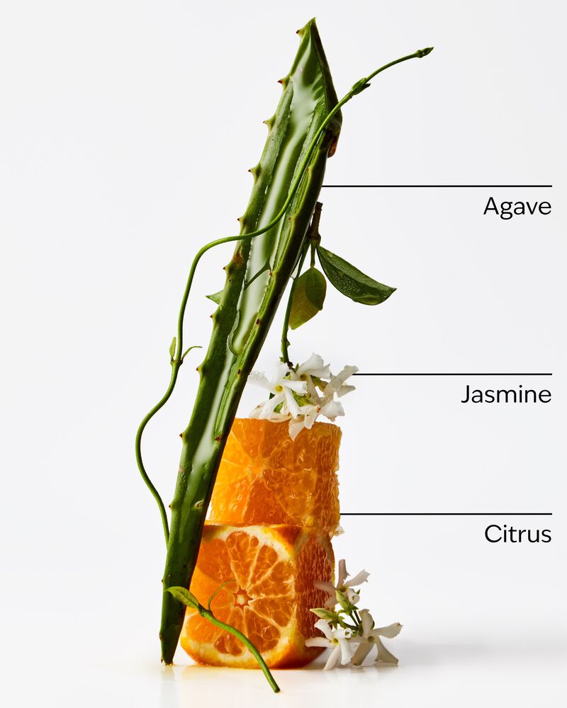 Sweet Orange & Agave Single Wick Candle Single Wick Candle