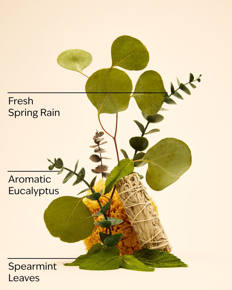 Eucalyptus Spearmint Luxe Bath Luxe Bath