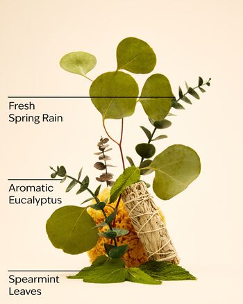 Eucalyptus Spearmint Luxe Bath Luxe Bath
