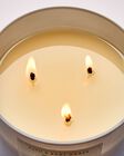 Clothesline Breeze 3-Wick Candle image number null