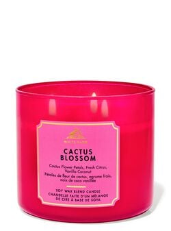 Cactus Blossom 3-Wick Candle