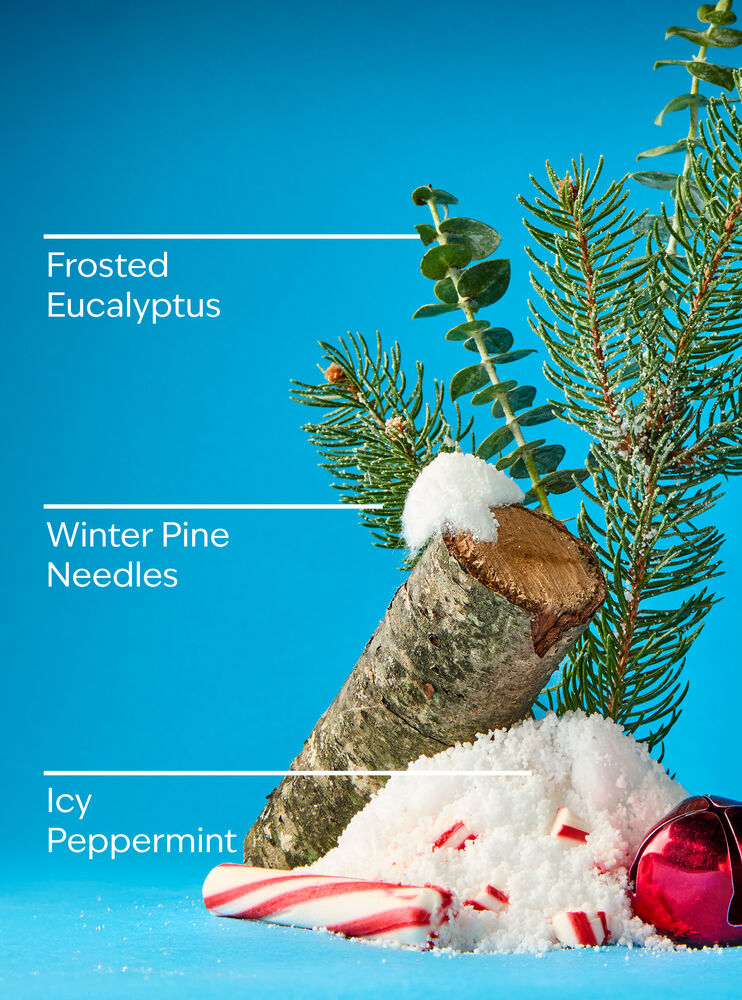 Frosted Forest 3-Wick Candle 3-Wick Candle