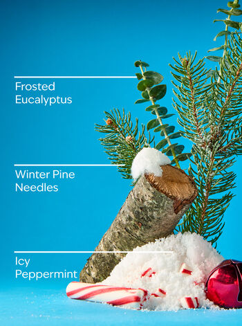 Frosted Forest 3-Wick Candle 3-Wick Candle