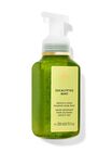Eucalyptus Mint Gentle & Clean Foaming Hand Soap image number null
