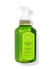 Eucalyptus Mint Gentle Foaming Hand Soap image number null