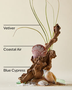 Ocean Mini Gift Set image number null