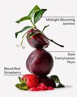 Vampire Blood 3-Wick Candle image number null