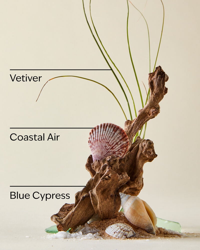 Ocean Body Wash Body Wash