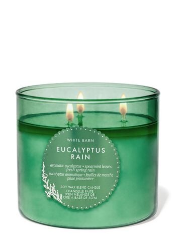 Eucalyptus Rain 3-Wick Candle 3-Wick Candle