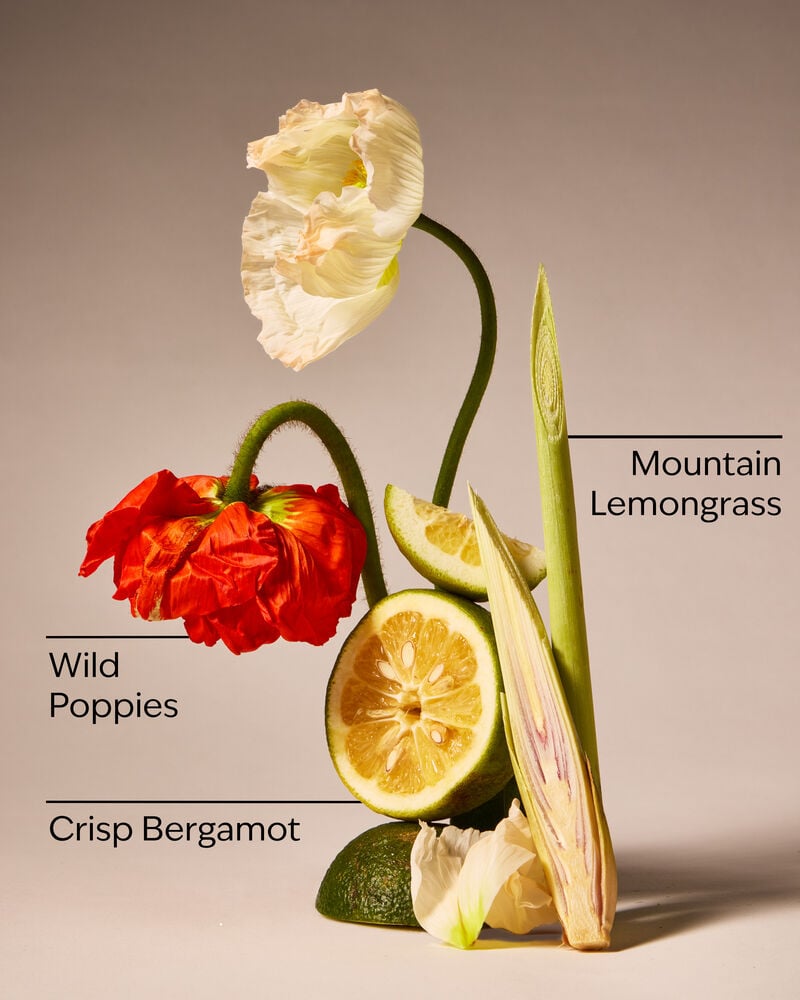 Mountainside Wildflower 3-Wick Candle 3-Wick Candle