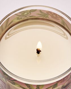 Warm Summer Evening Single Wick Candle image number null