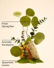 Eucalyptus Spearmint Wallflowers Fragrance Refill image number null
