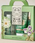 Eucalyptus Spearmint Gift Set image number null