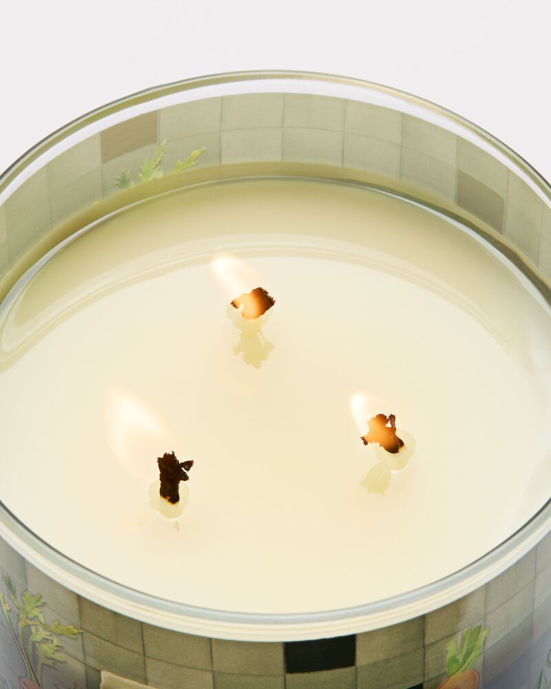 Carrot & Nectarine 3-Wick Candle 3-Wick Candle