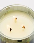 Carrot & Nectarine 3-Wick Candle image number null