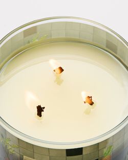 Carrot & Nectarine 3-Wick Candle image number null