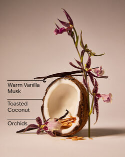 Tiki Beach Car Fragrance Refill