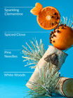 Winter Hand Sanitizer Spray image number null