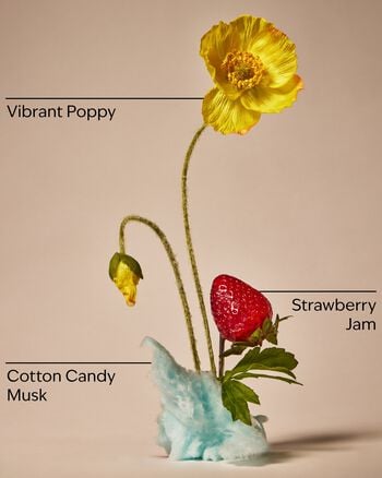 Strawberry Flirt Body Wash Body Wash