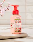 Peach Blossom & Nectar Gentle & Clean Foaming Hand Soap image number null