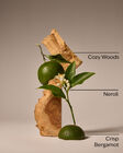 Book Loft Fine Fragrance Mist image number null