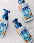 Fresh Fall Morning Gentle & Clean Foaming Hand Soap image number null