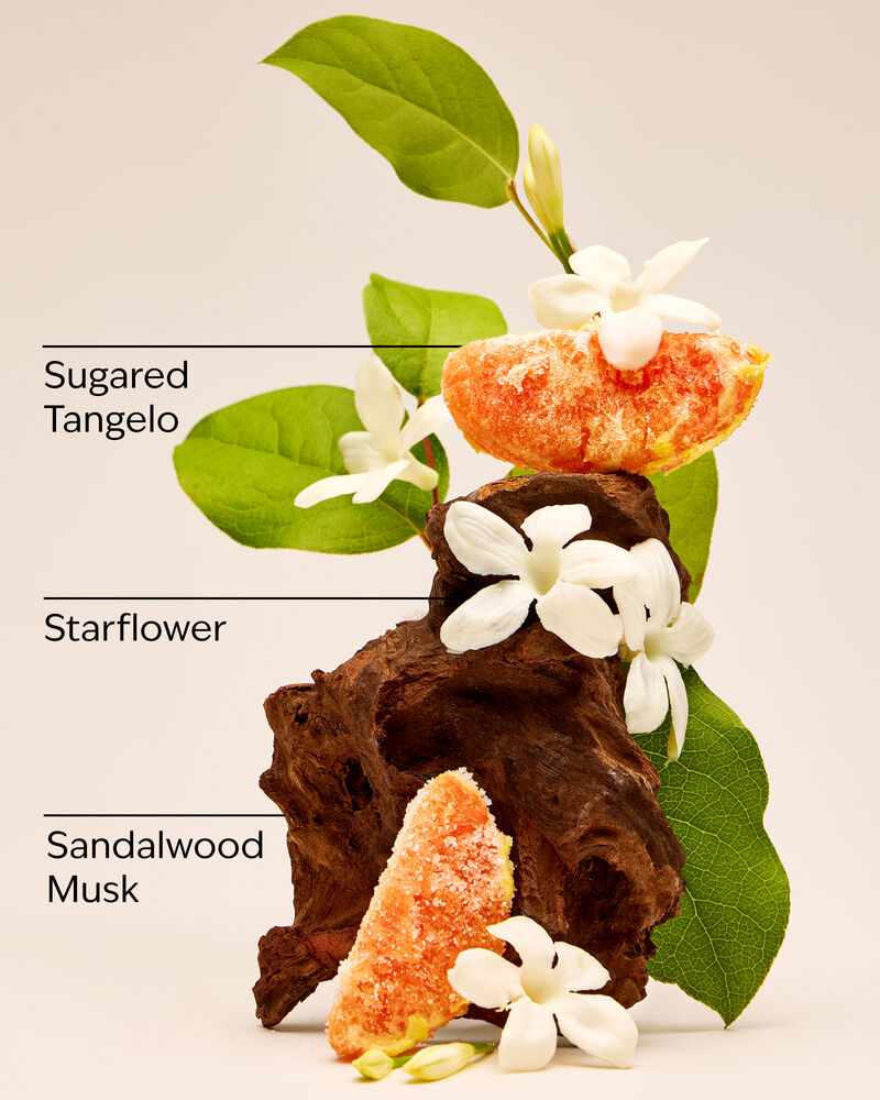 In The Stars Glowtion Body Butter Glowtion Body Butter