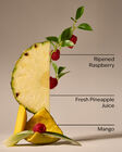 Pineapple Mango Foaming Hand Soap image number null