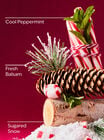 Twisted Peppermint Body Wash image number null