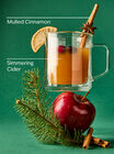 Christmas Cider 3-Wick Candle image number null