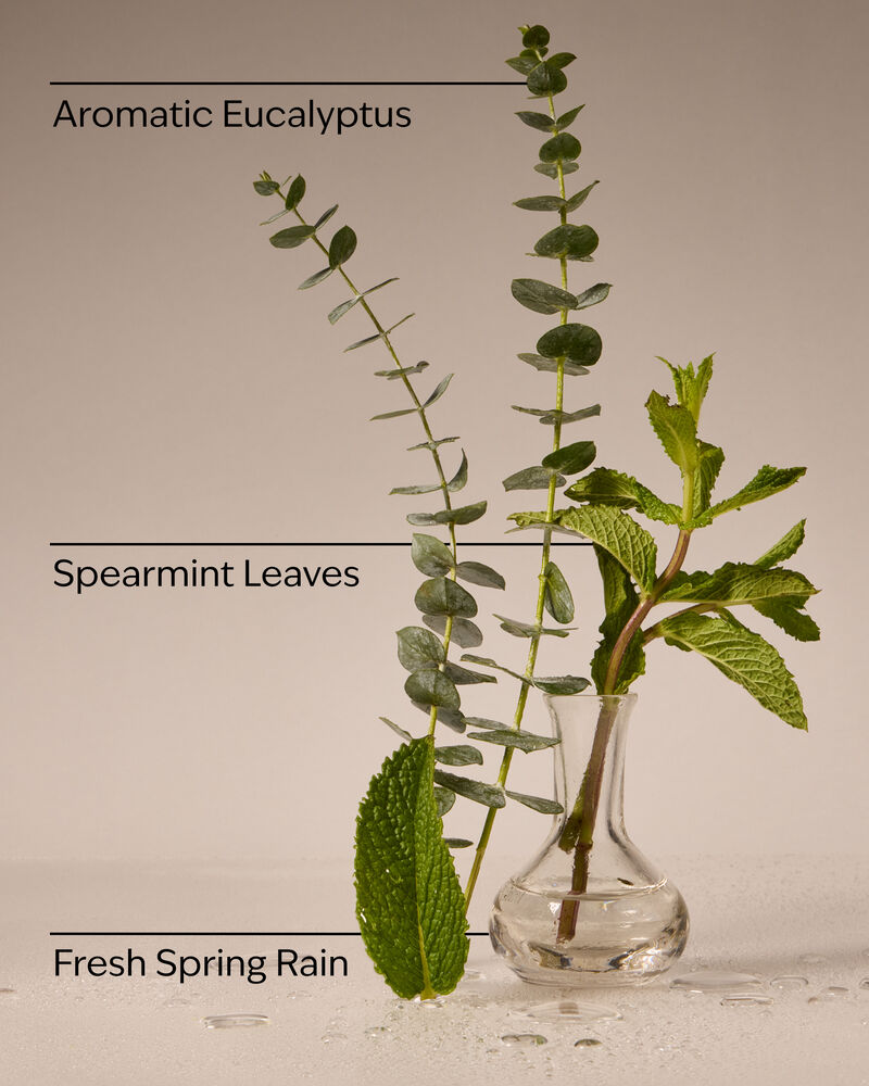 Eucalyptus Rain PocketBac Hand Sanitizer PocketBac Hand Sanitizer